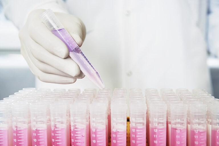 Cancer et Génétique : une vision évolutive