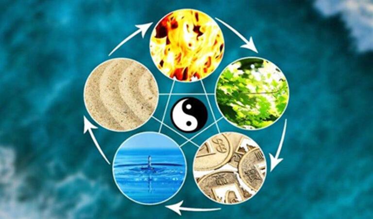 Comprendre la théorie des 5 éléments comme outil thérapeutique dans une approche de santé globale et de prévention